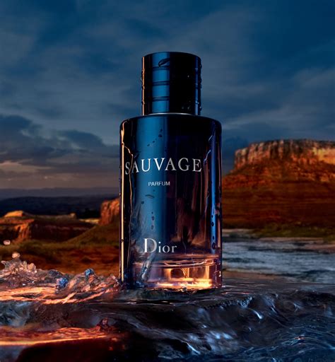 dior sauvage zwilling|sauvage fragrance.